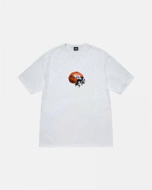 Stüssy Ladybug T-shirts Herren Weiß | UKEWA-2638